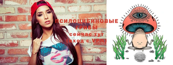твердый Касимов