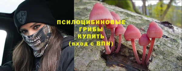 героин Карпинск