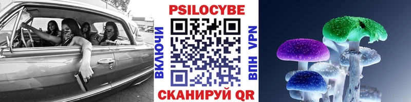 Купить  Чапаевск  Псилоцибиновые грибы GOLDEN TEACHER 